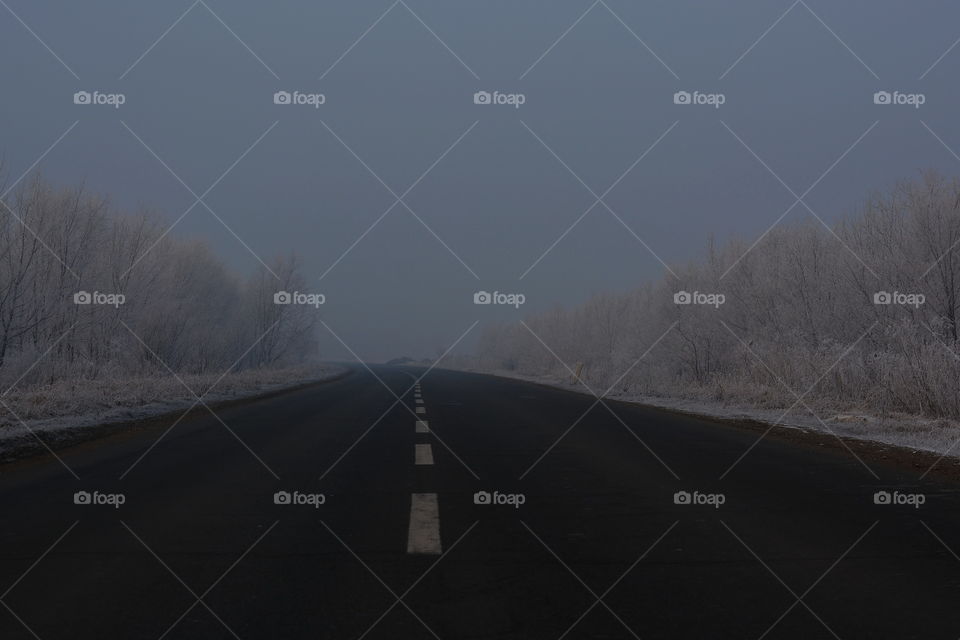 Winter, Snow, Fog, Landscape, Road