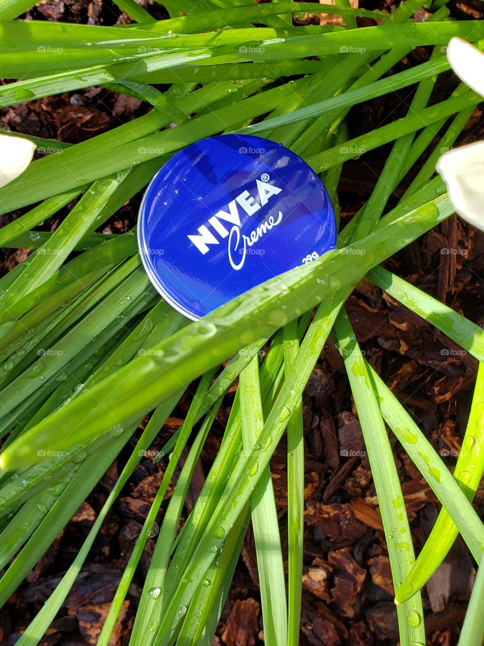 green and blue nivea