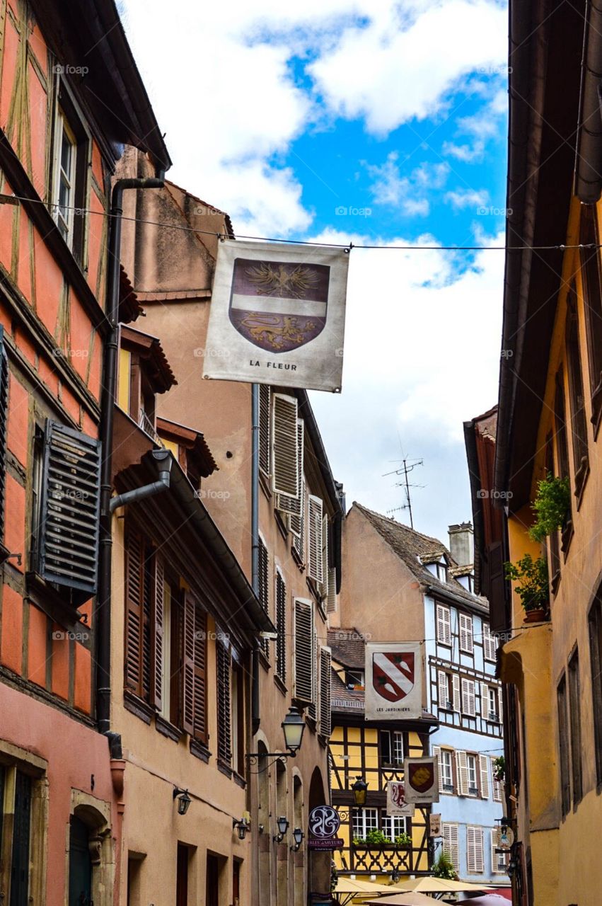 Emblems and windows of Strasbourg
