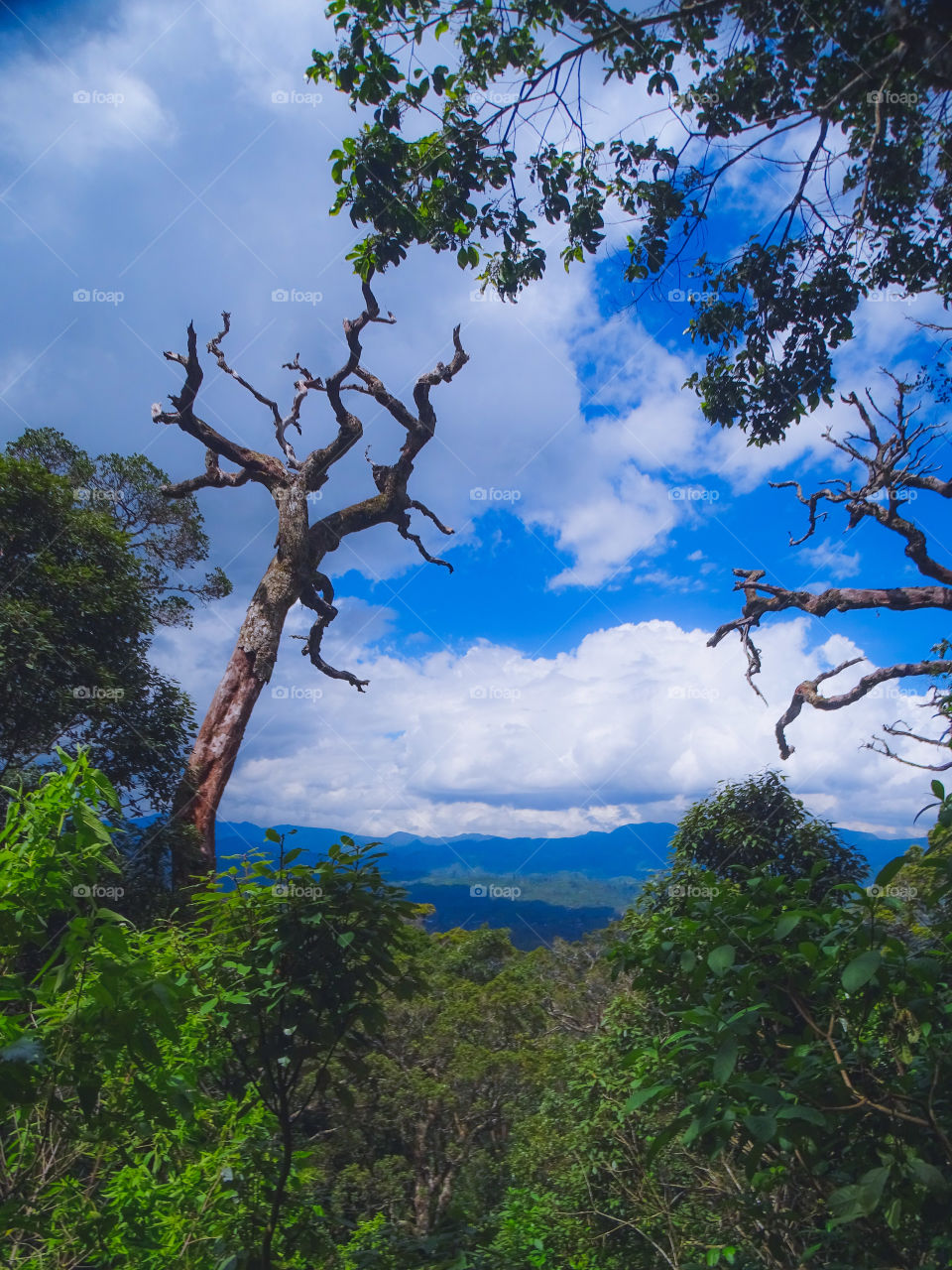 how do you like this photo