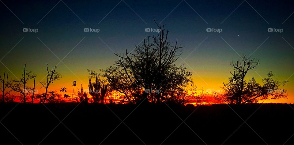 Sunrise Panorama 