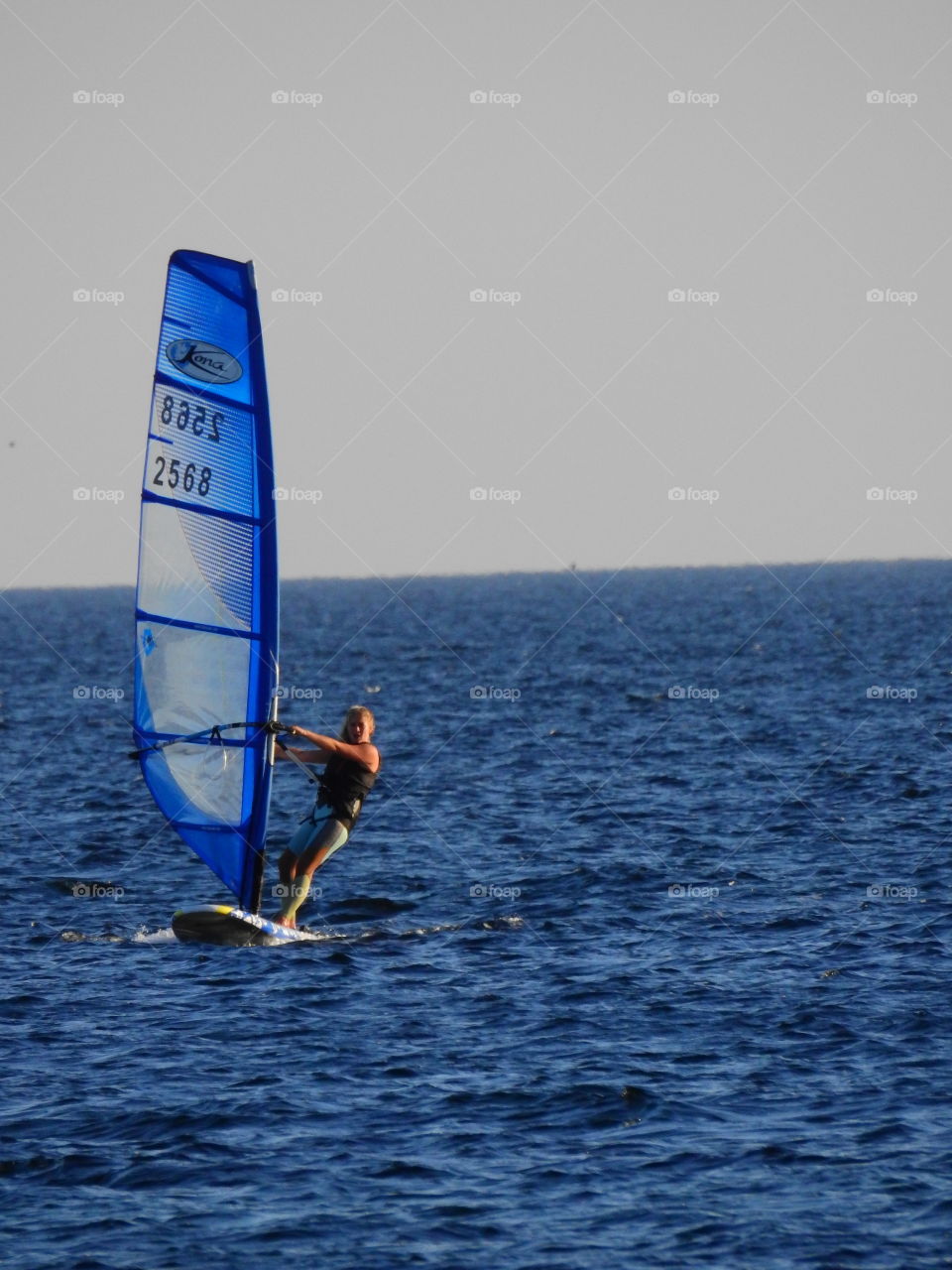 Windsurfer