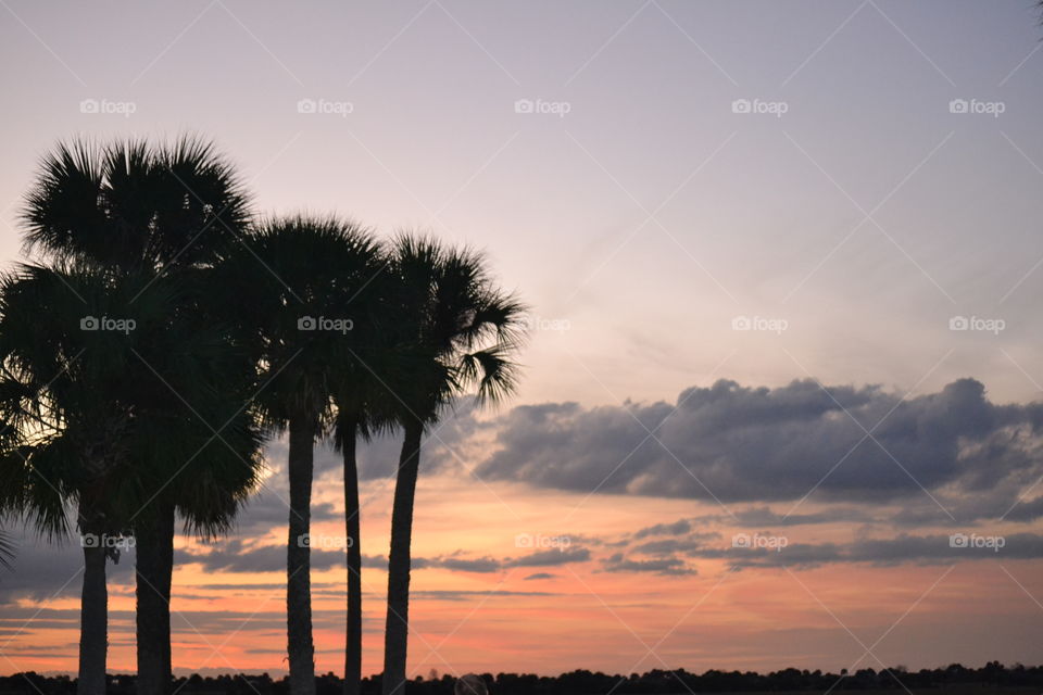 Tall palm trees silhouette in front of an orange sky with purple clouds at dusk