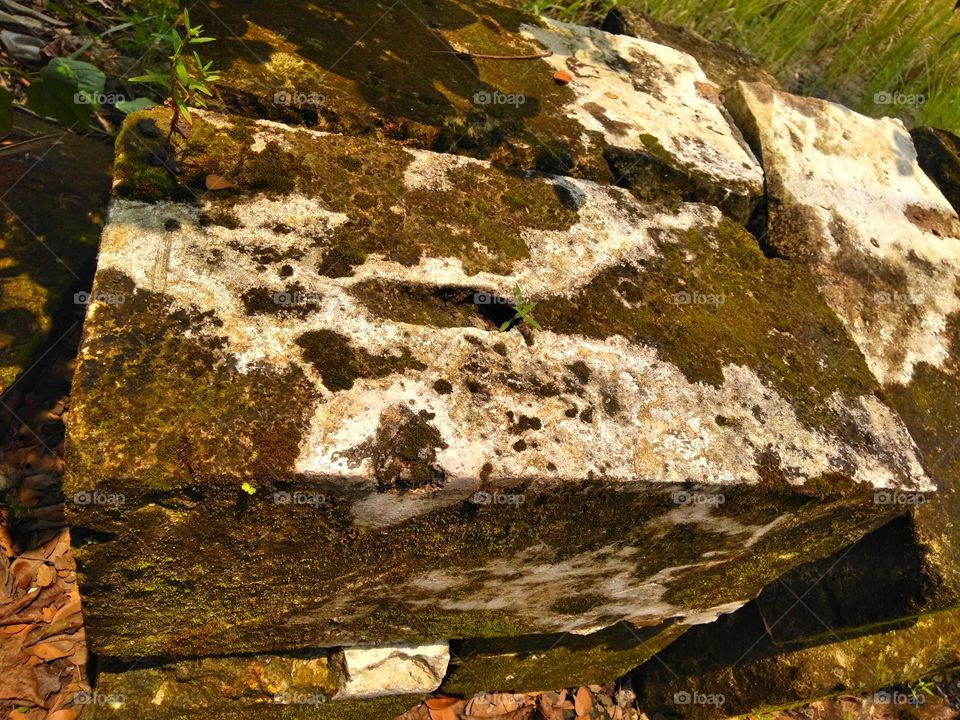 Mossy brick on the ground