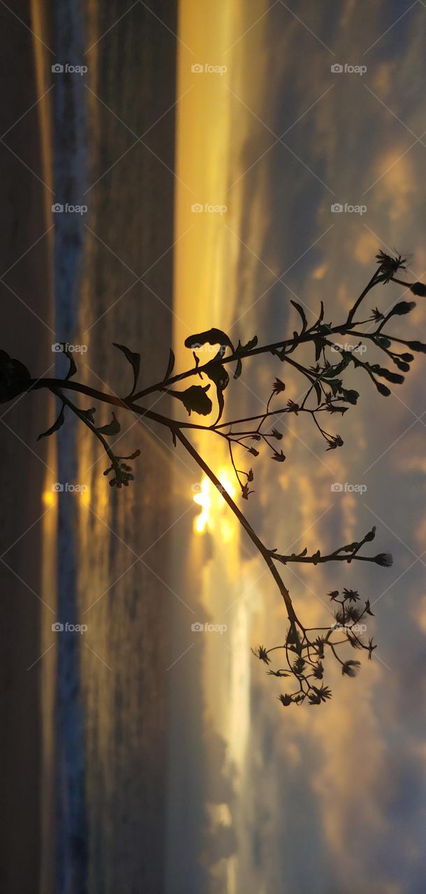 beach side captured sunset