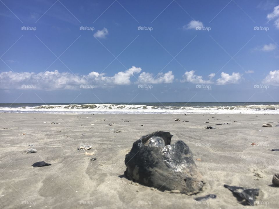 Looking wistfully out across the vast ocean. Beautiful blue skies against crashing waves at this South Carolina beach. 