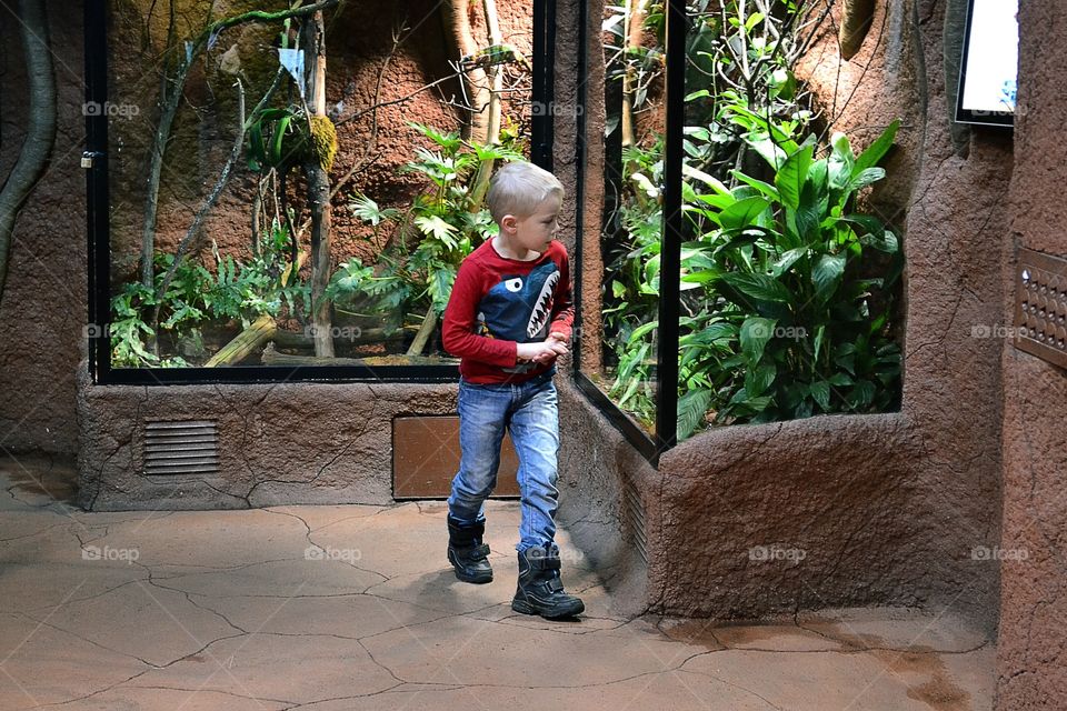 Boy visiting the zoo