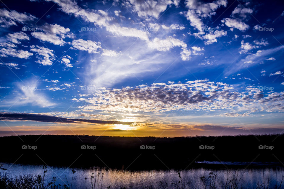 Scenic view of nature