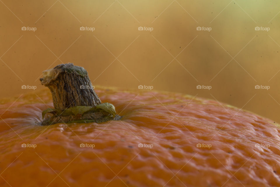 Extreme close-up of a tangerine