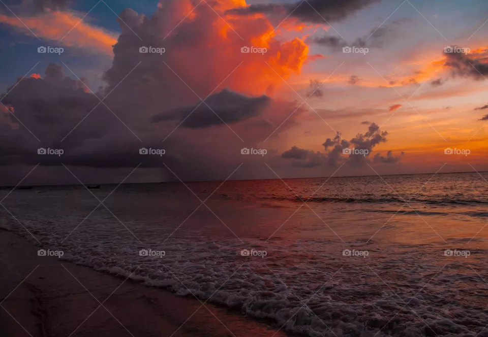 Nature of the Sea