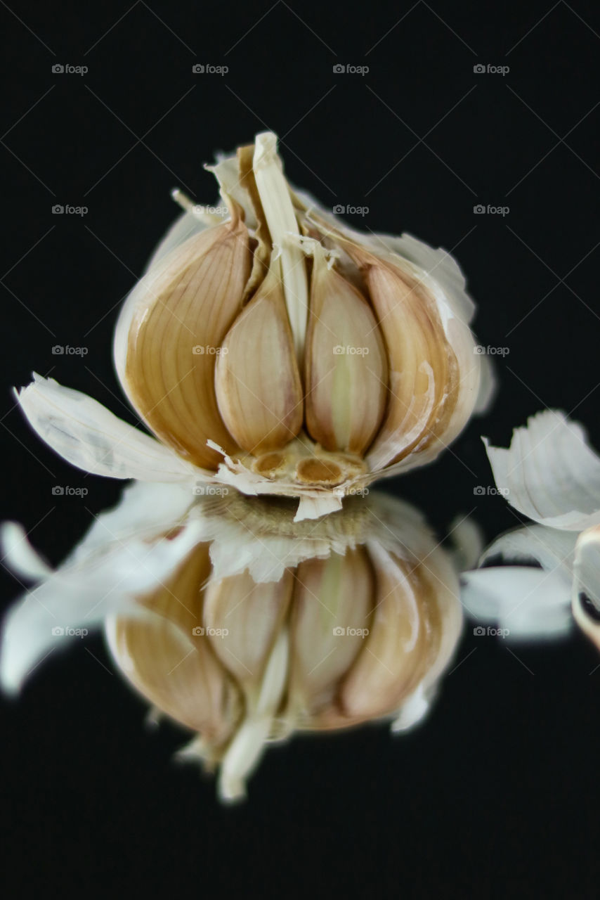Garlic Reflection