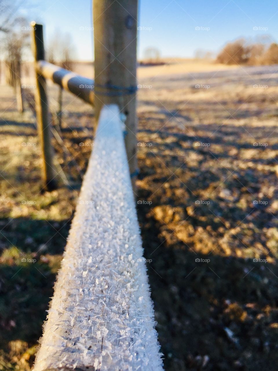 Low-angled view of frost on a wooden fence rail, shadows of tree trunks on dried pasture grass and distant blurred rural background visible