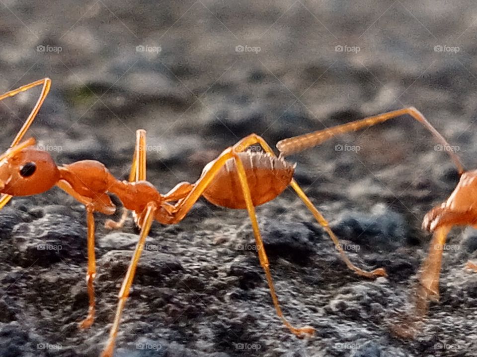 Where is a little part of my head ?