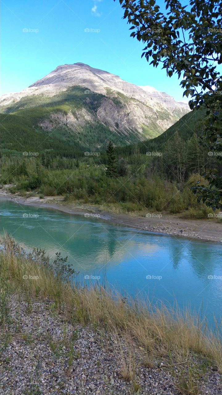 Aqua green glacier fed water of the Toad River in British Columbia, Canada on a beautiful blue sky day.