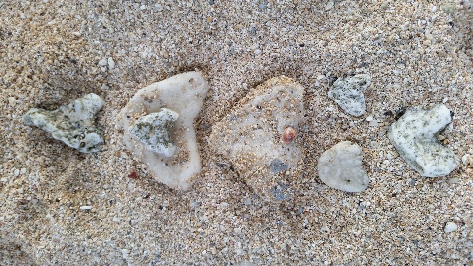 Hearts of Sea. Memorial weekend..found on beach