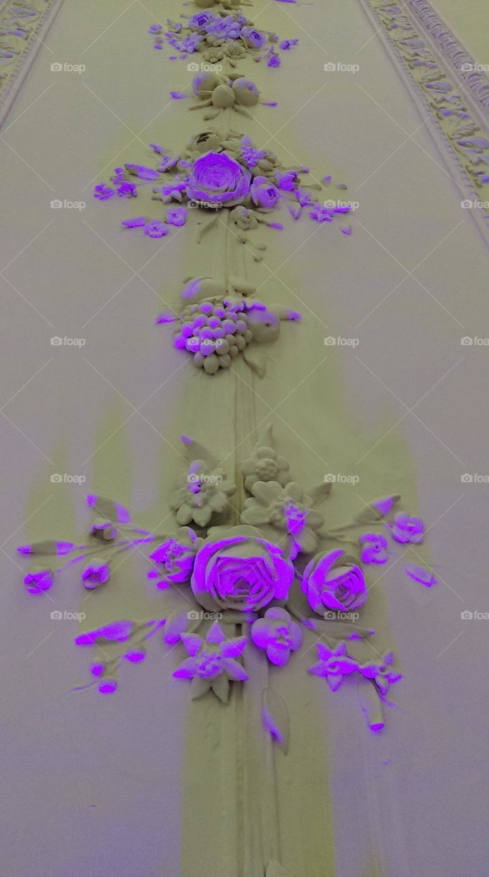 purple roses