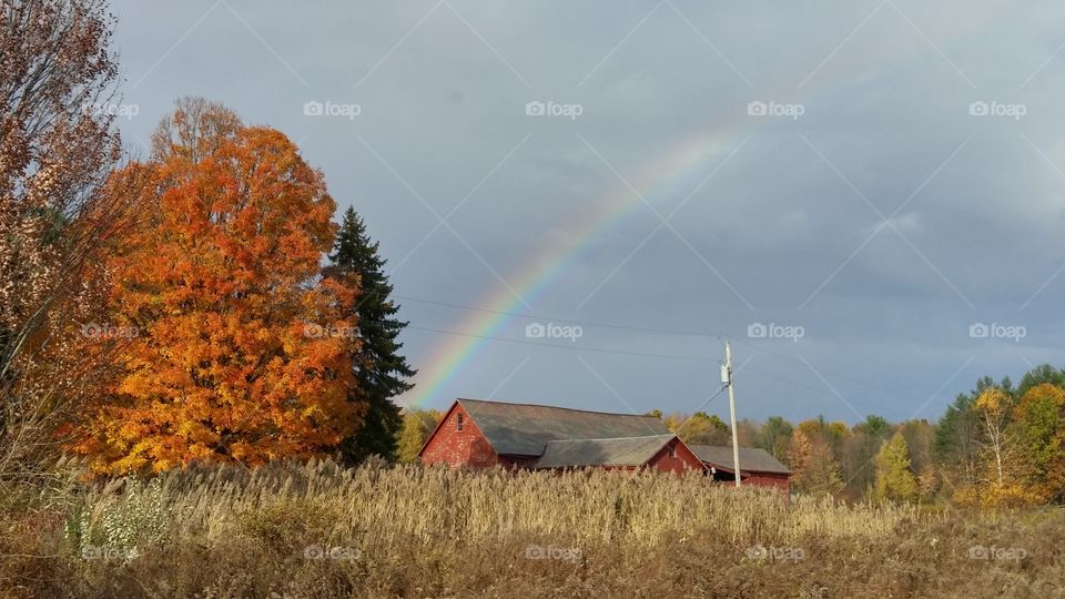 Autumn Rainbow