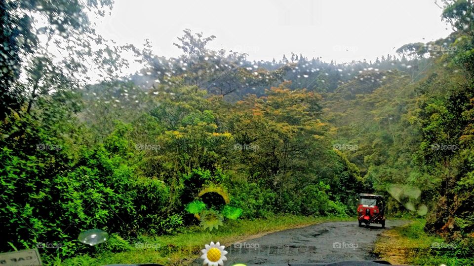 alone in the middle of the jungle😌😍🖤