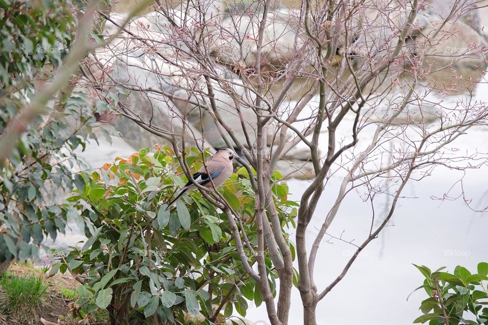 beautiful spring moment