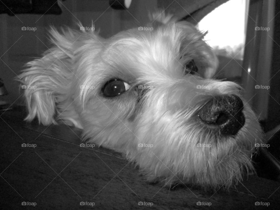 Ready for my close up!