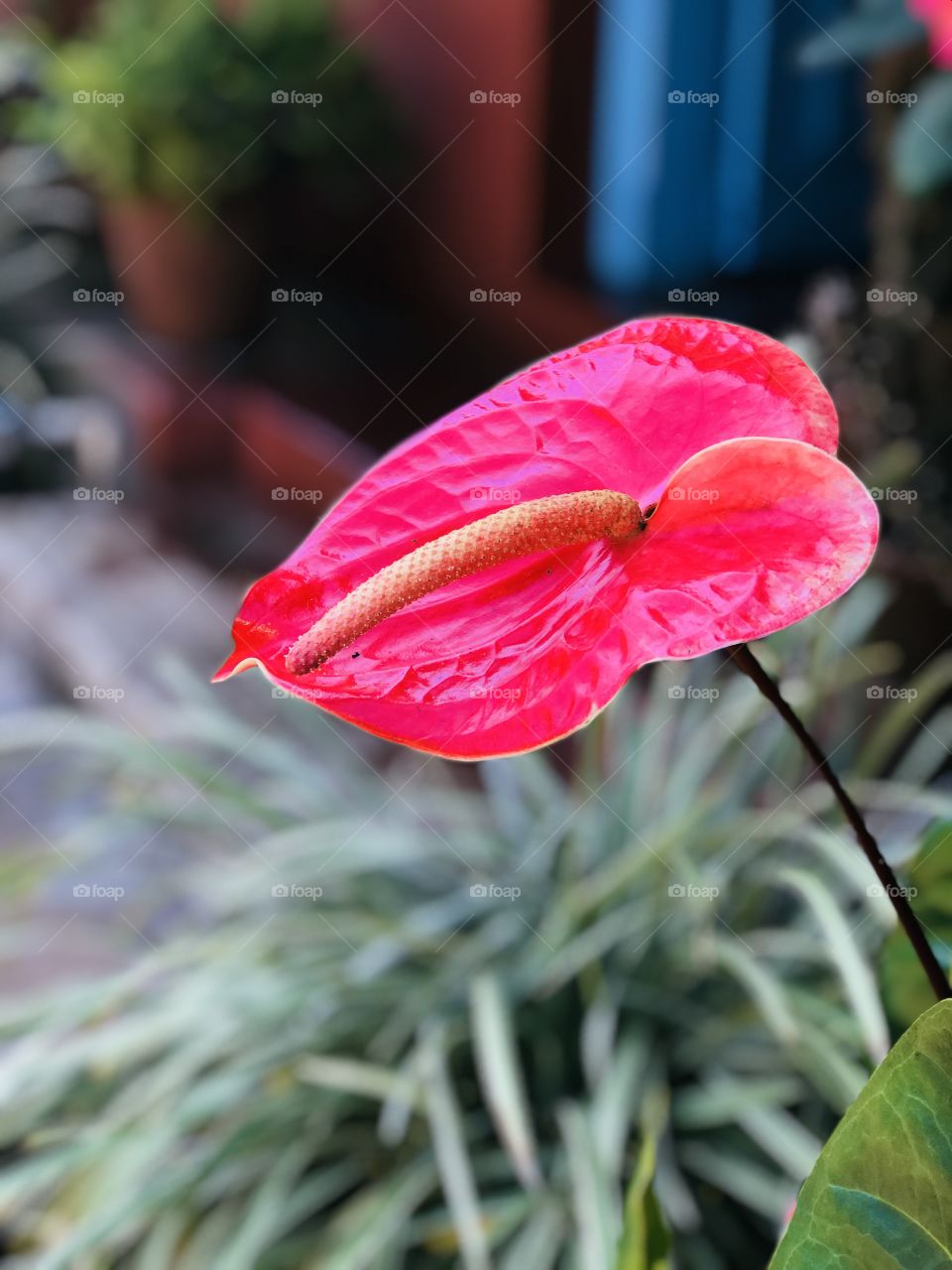 One simple click makes me feel happy all day...😍