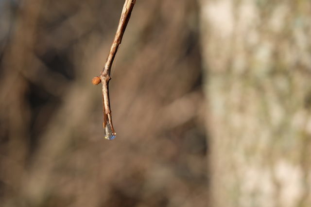 Just a drop! Albeit awesome