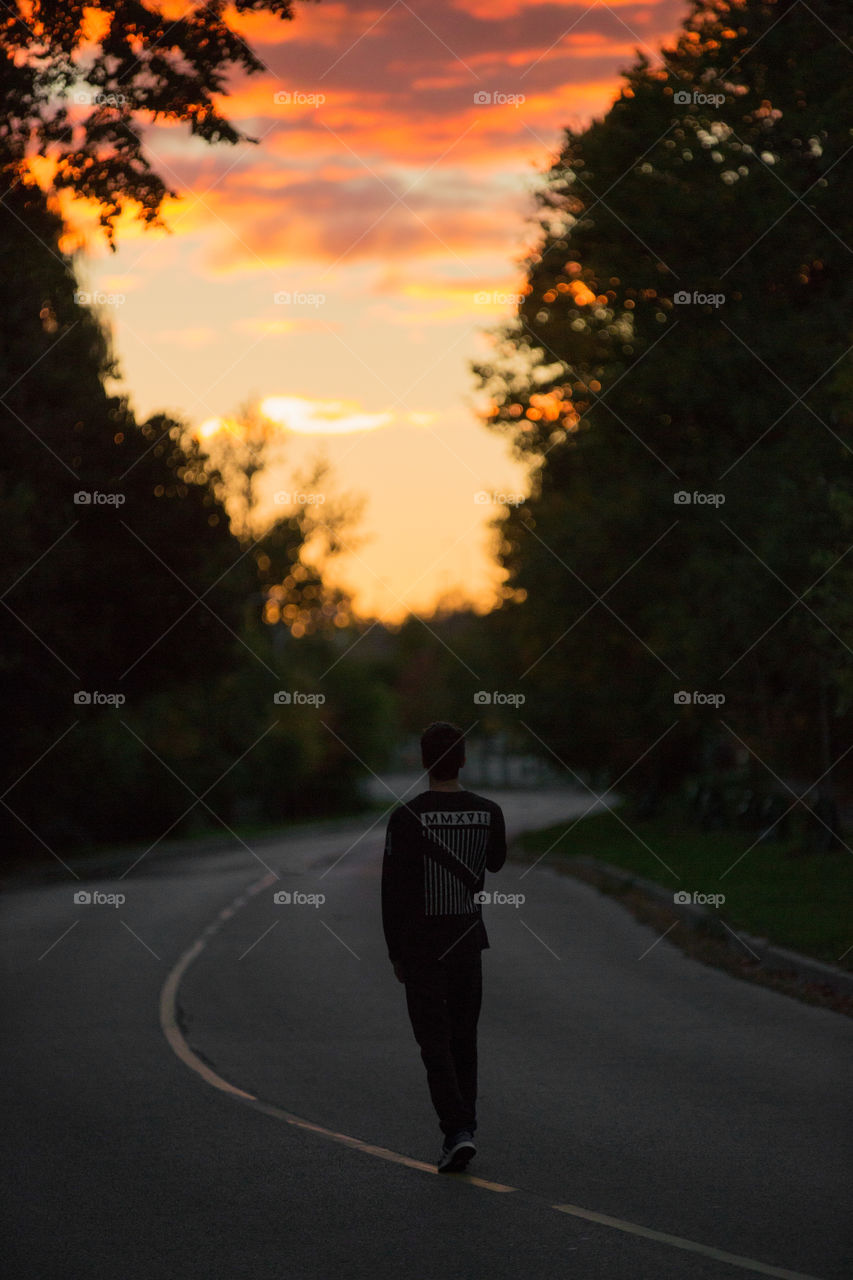 People, Sunset, One, Road, Tree