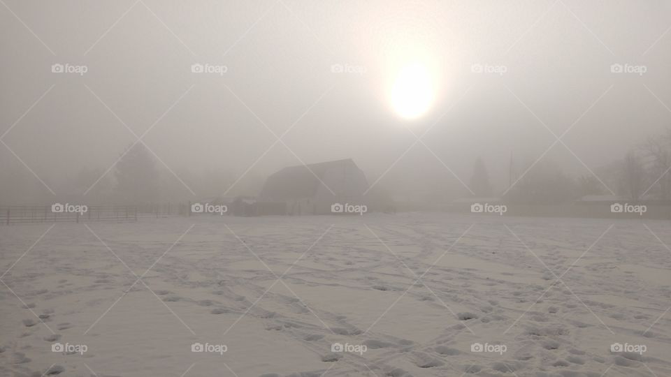 Winter fog obscuring view of barn