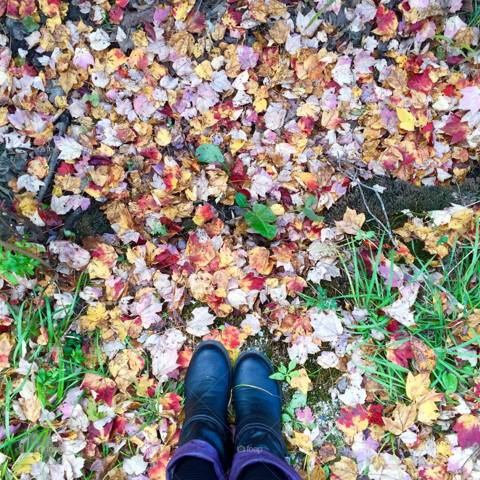 Color, Nature, Leaf, Fall, People