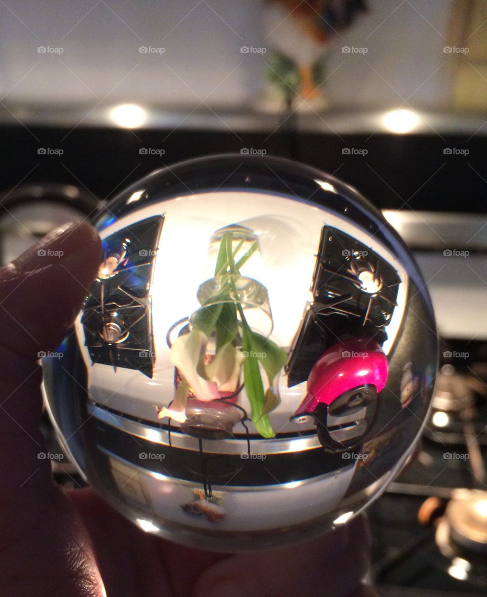Up side down. Using a crystal ball to look at a flower.