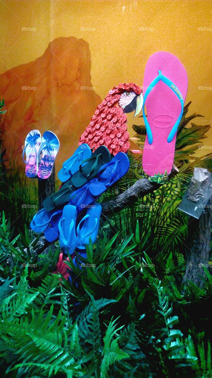 flip flop to the parrot that is rubber