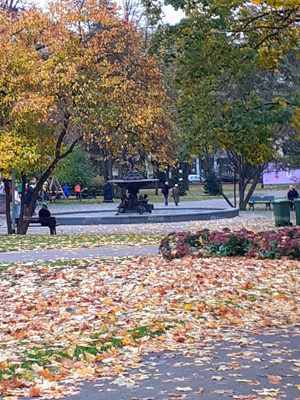 Верманский сад