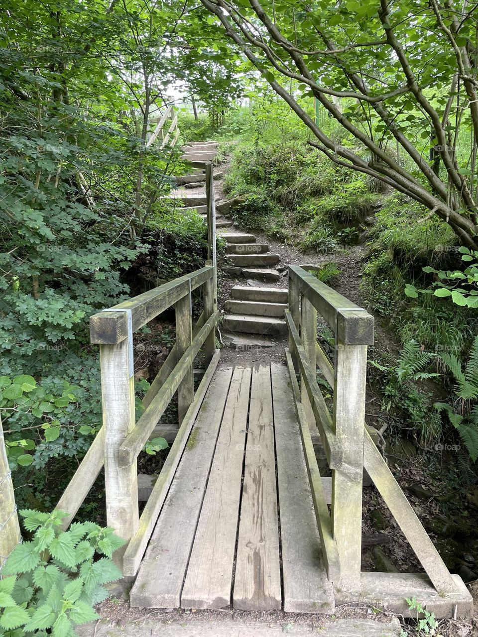 Lots of steps on this walk ! Very pretty along a river to a waterfall 💚