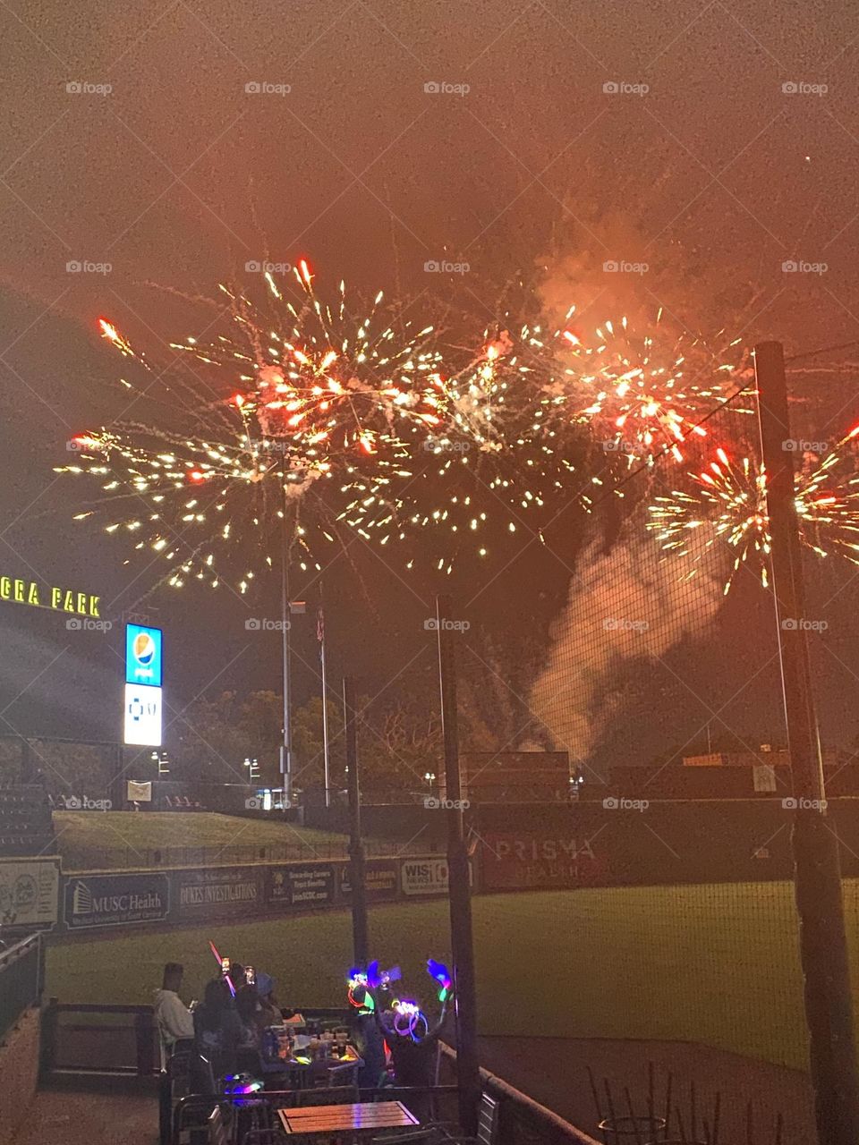 Fireworks in the night 