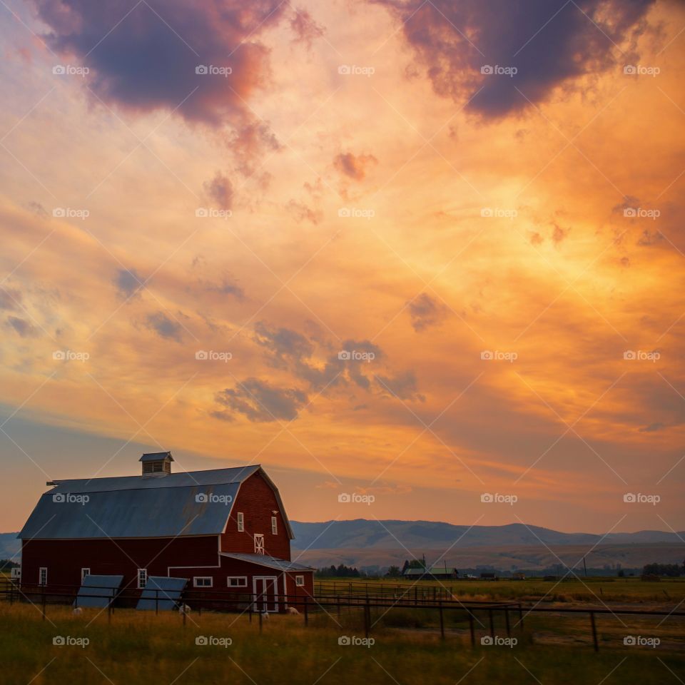 Montana scenes 