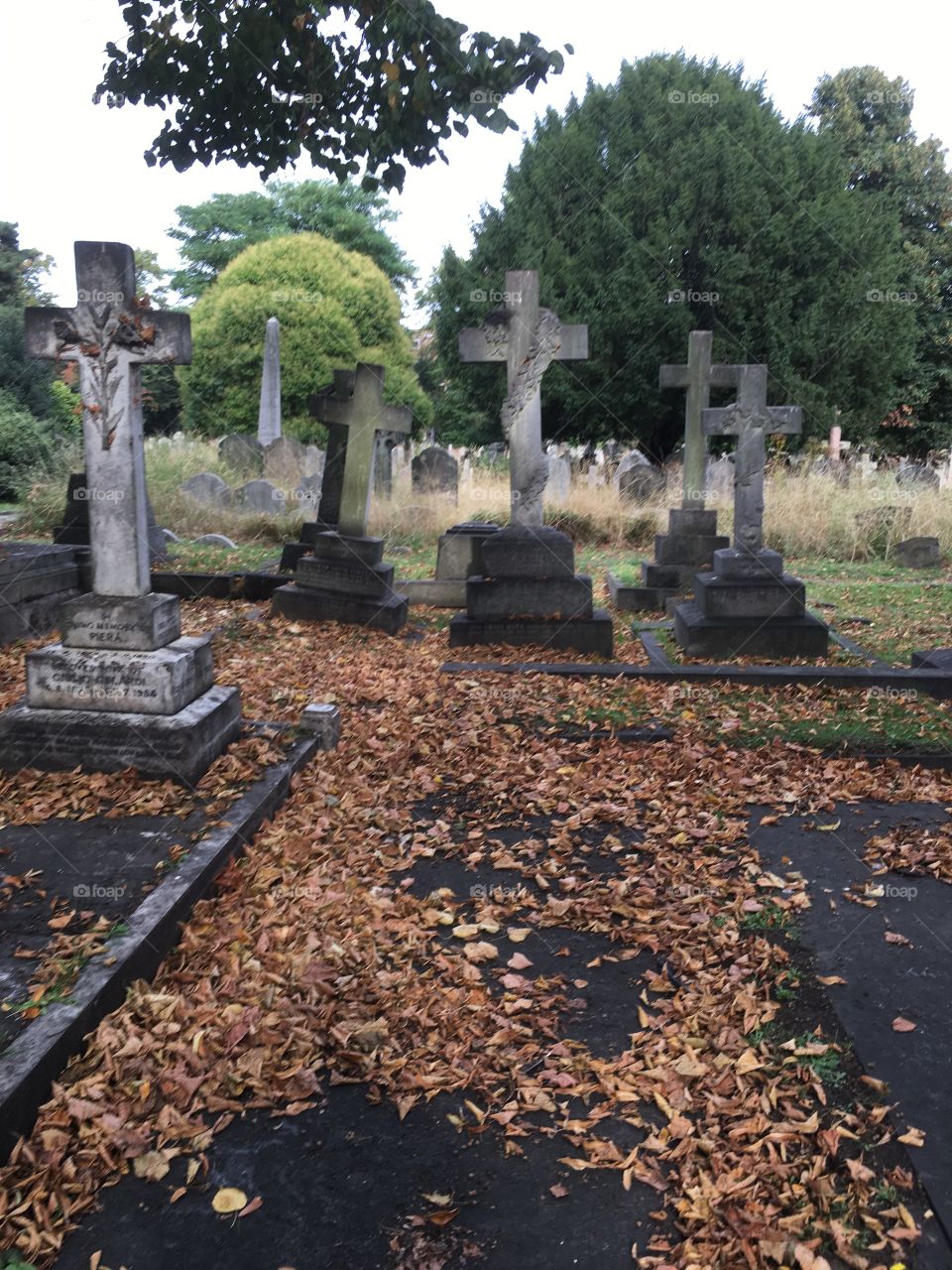 Brompton cemetery 
