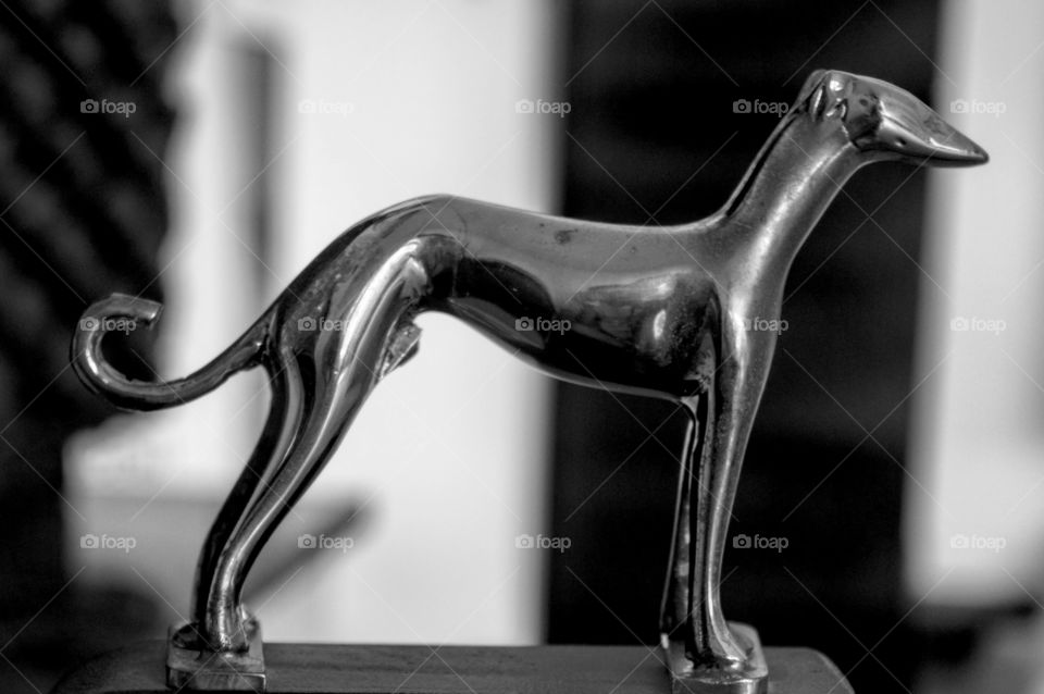 B&W dog sculpture