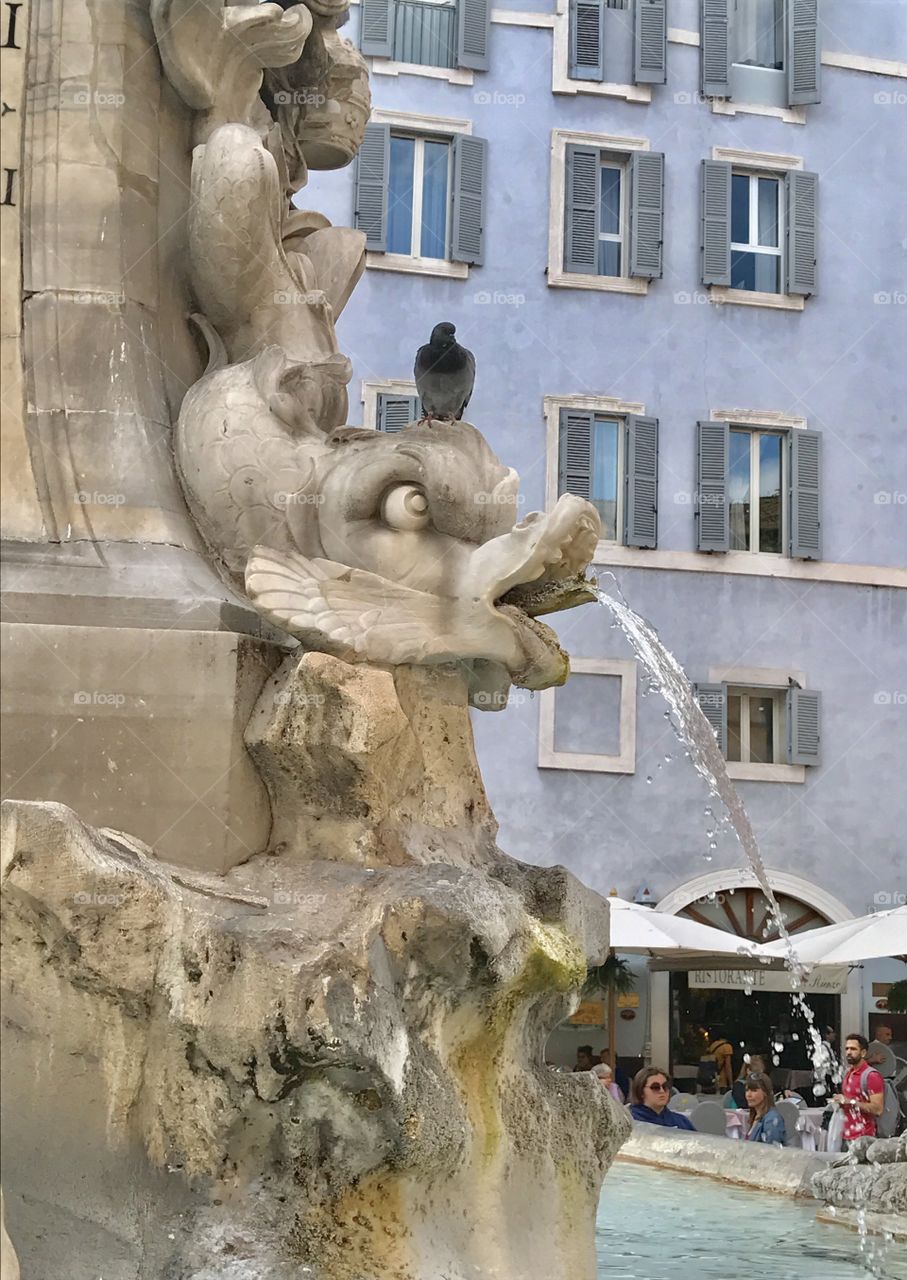 Rome fountain pantheon 