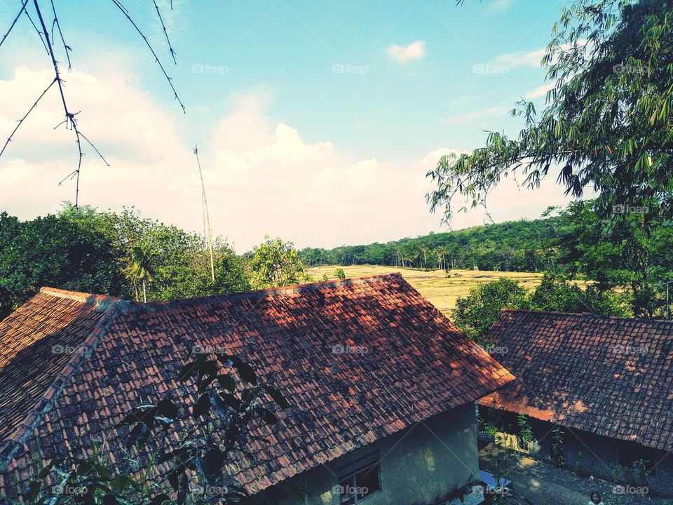 Beautiful view over the highlands