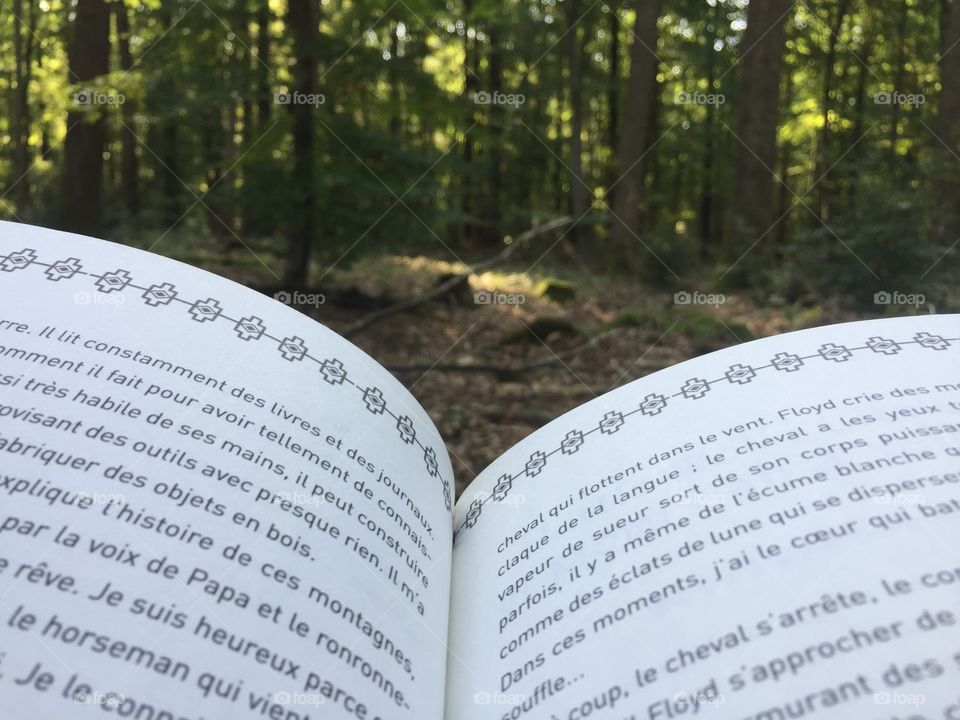 Lecture dans les bois 📖