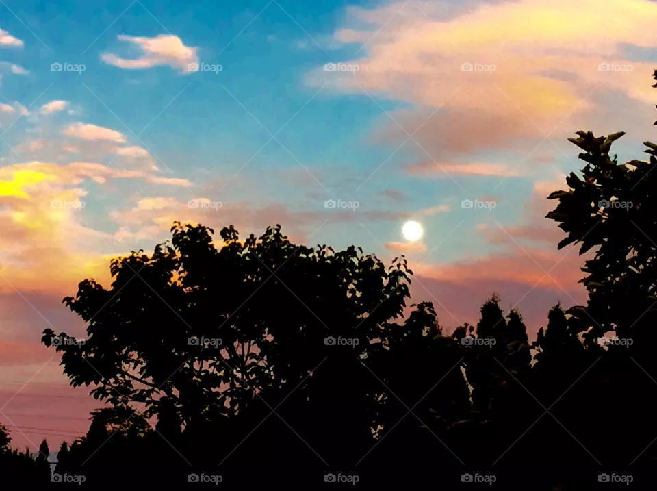 Moon