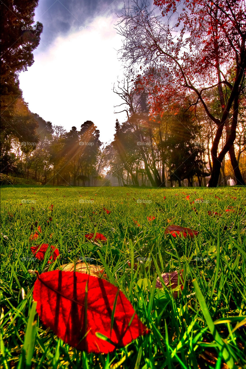 green italy ground red by kuzeytac