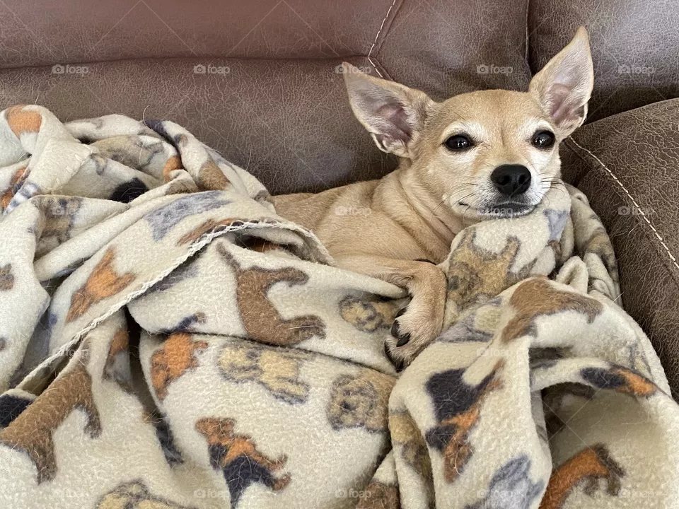 Nap time 