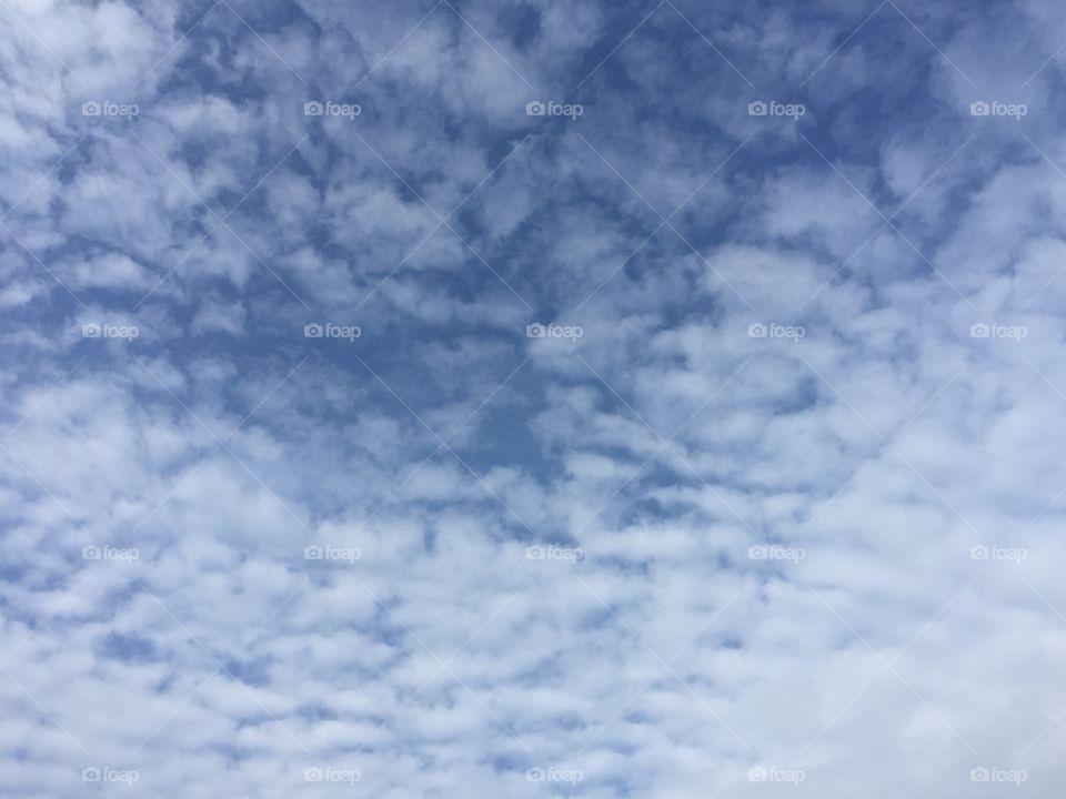 Beautiful blue skies with white fluffy clouds 