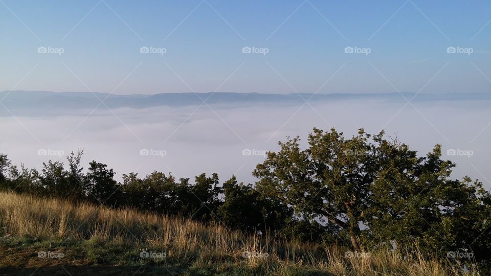 Foggy view from a mountain