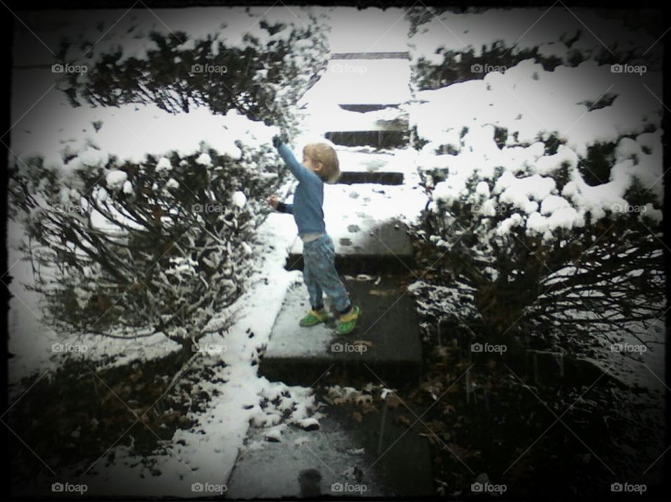 i love the snow!!!. Tristan playing with the show covered bushes