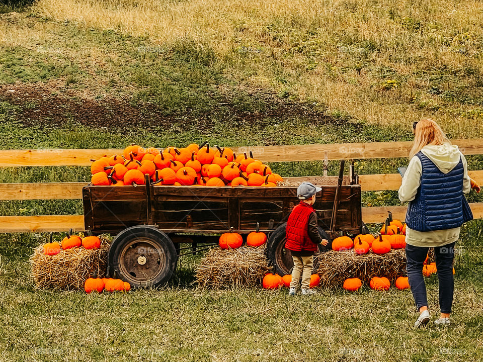 Pumpkins