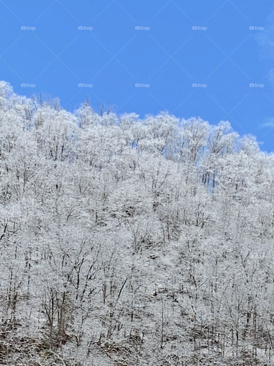 Beautiful snowy Appalachian mountains