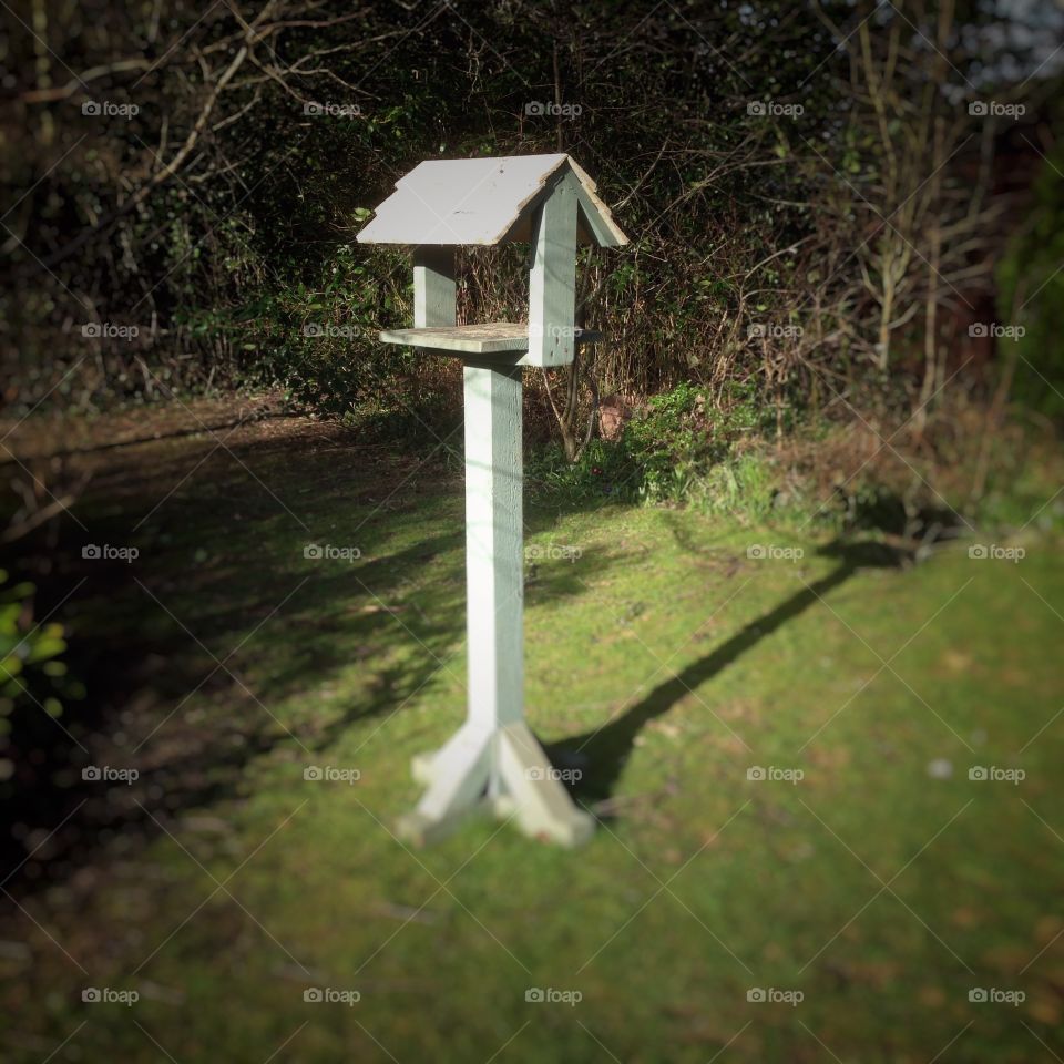 House, Nature, Grass, Tree, No Person