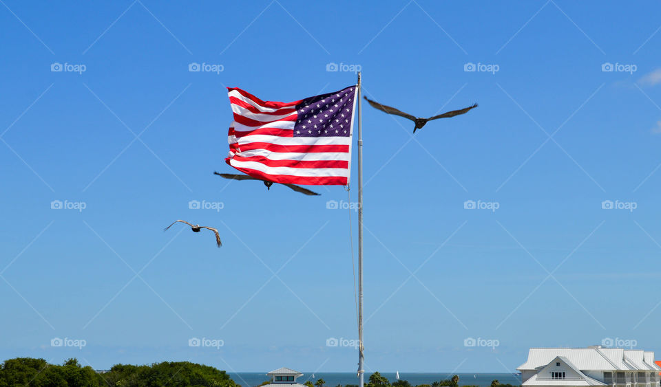 American flag in the sky with seagulls flying around it